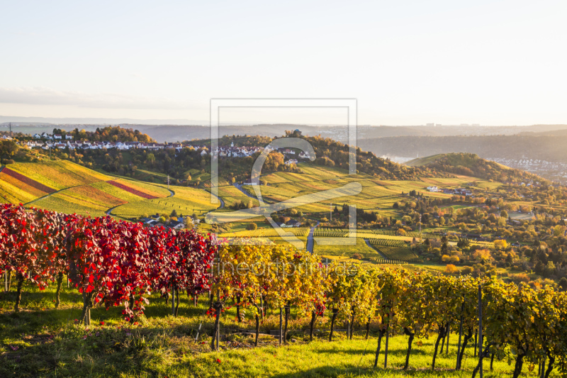 frei wählbarer Bildausschnitt für Ihr Bild auf Schieferplatte