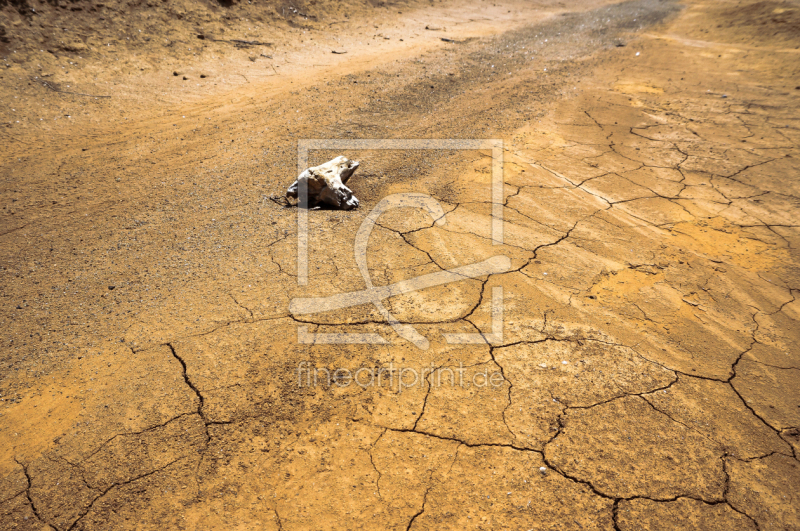 frei w&auml;hlbarer Bildausschnitt f&uuml;r Ihr Bild auf Schieferplatte