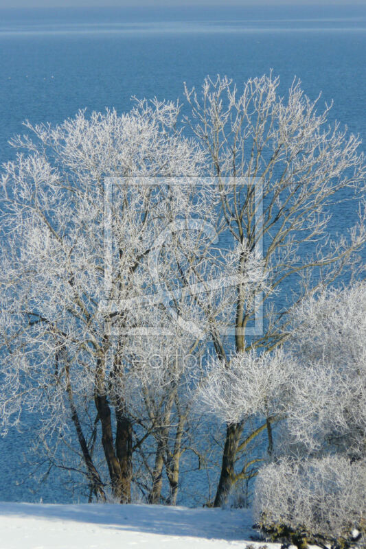frei wählbarer Bildausschnitt für Ihr Bild auf Schieferplatte