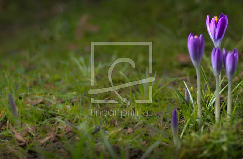 frei w&auml;hlbarer Bildausschnitt f&uuml;r Ihr Bild auf Schieferplatte