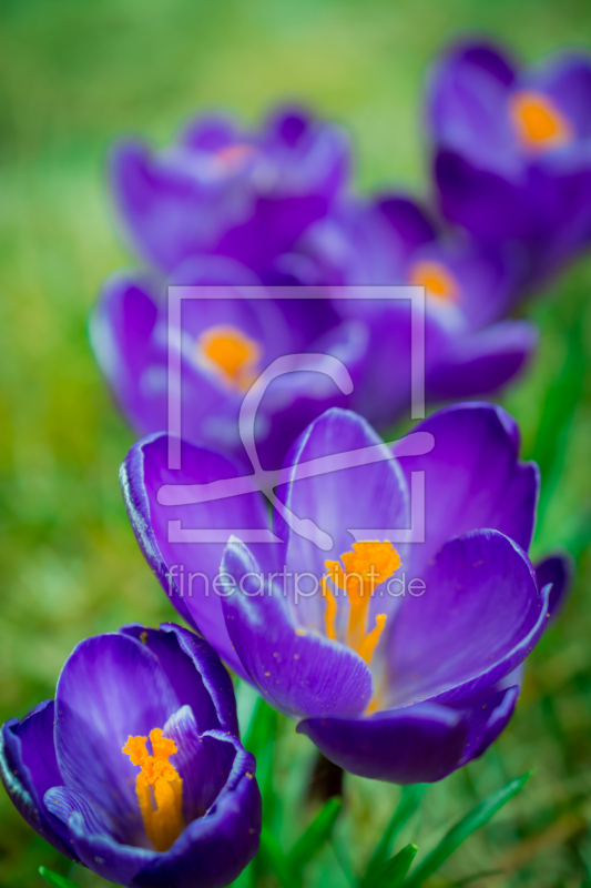 frei w&auml;hlbarer Bildausschnitt f&uuml;r Ihr Bild auf Schieferplatte