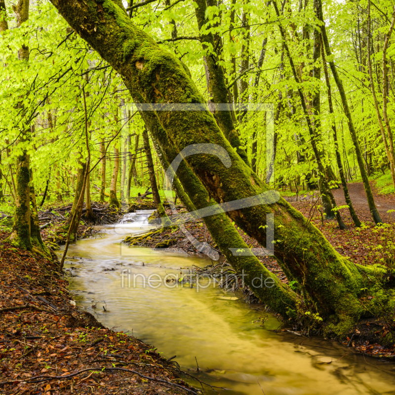 frei wählbarer Bildausschnitt für Ihr Bild auf Schieferplatte