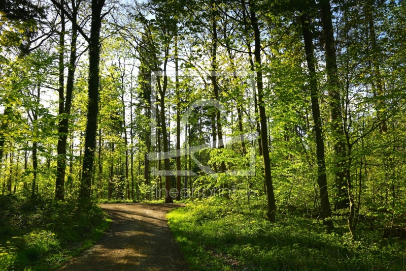 frei wählbarer Bildausschnitt für Ihr Bild auf Schieferplatte