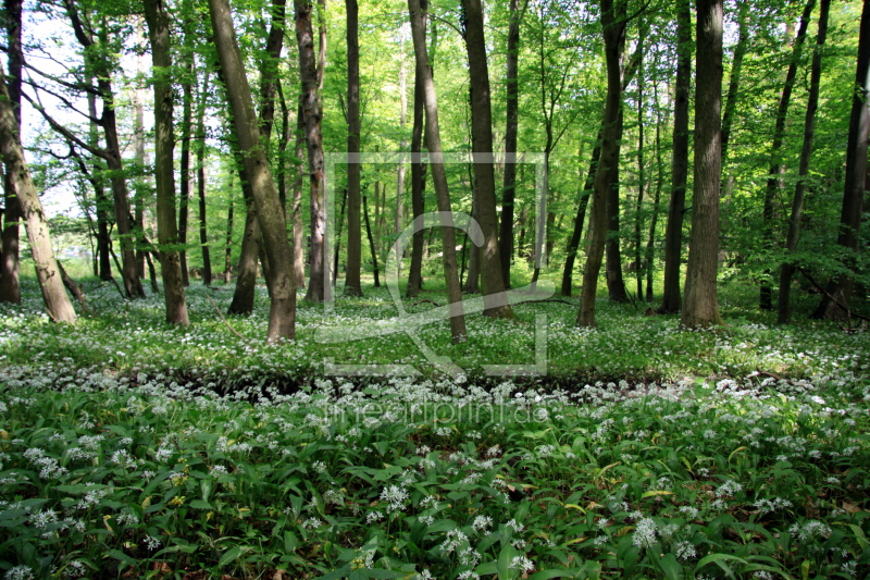 frei wählbarer Bildausschnitt für Ihr Bild auf Schieferplatte