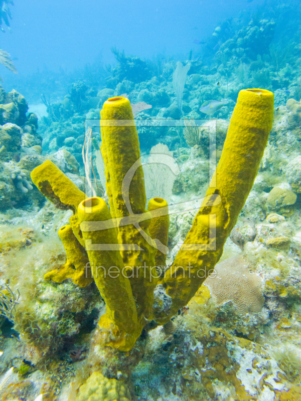frei w&auml;hlbarer Bildausschnitt f&uuml;r Ihr Bild auf Schieferplatte