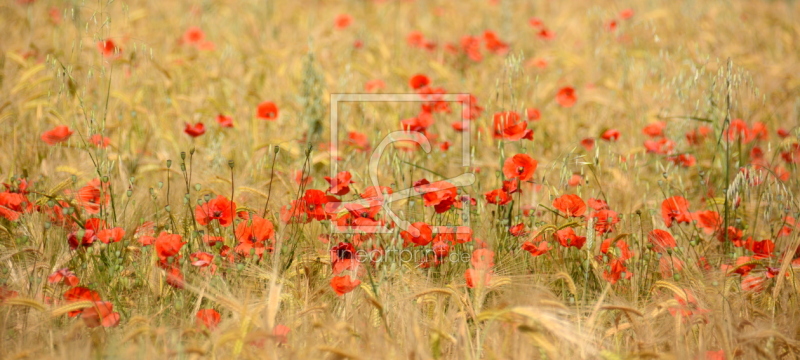 frei wählbarer Bildausschnitt für Ihr Bild auf Schieferplatte