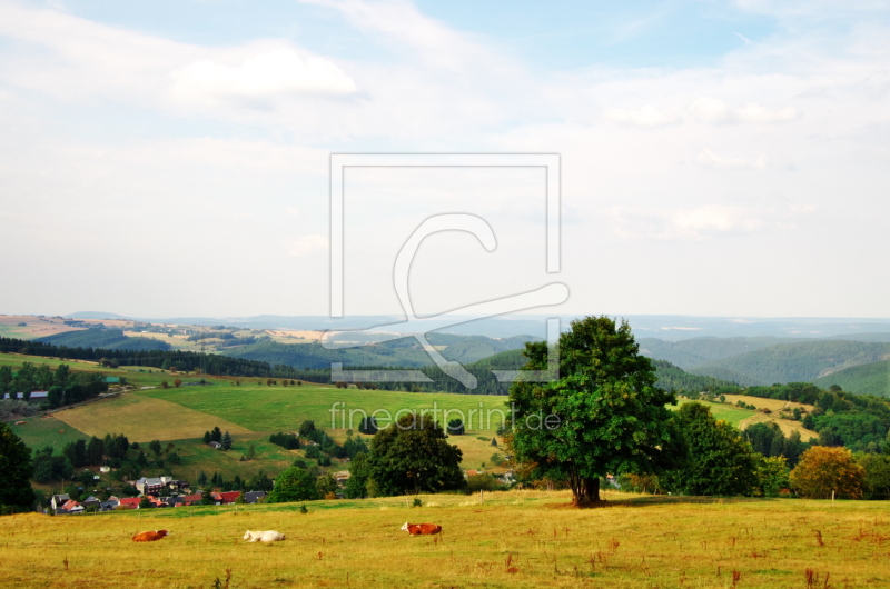 frei wählbarer Bildausschnitt für Ihr Bild auf Schieferplatte