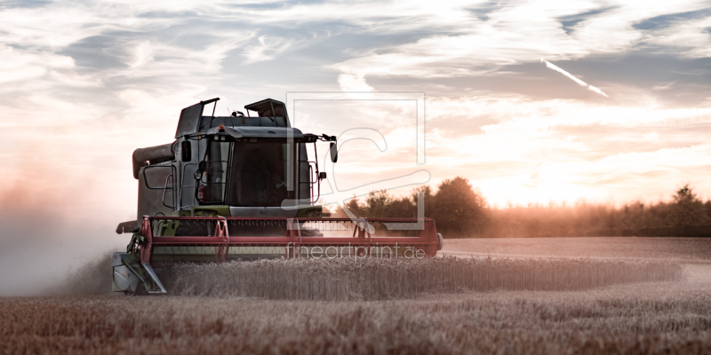 frei wählbarer Bildausschnitt für Ihr Bild auf Schieferplatte