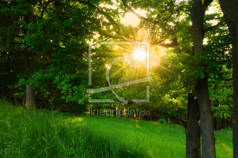 frei wählbarer Bildausschnitt für Ihr Bild auf Schieferplatte