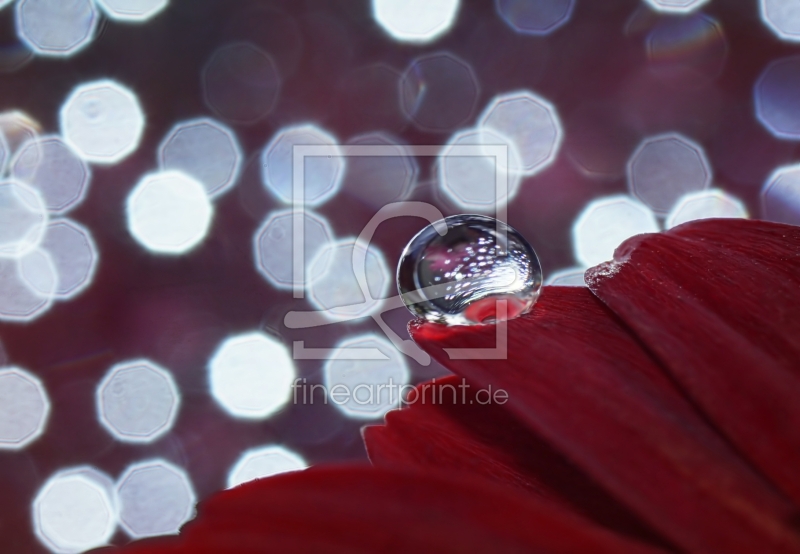 frei w&auml;hlbarer Bildausschnitt f&uuml;r Ihr Bild auf Schieferplatte