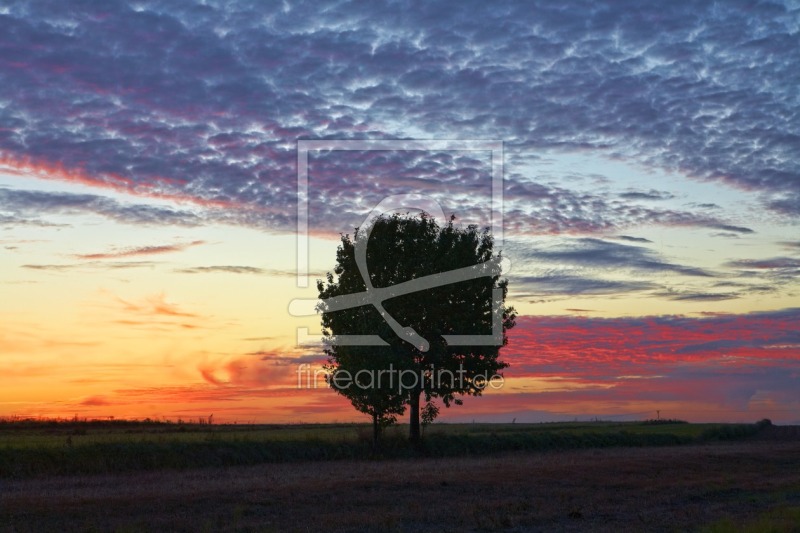 frei w&auml;hlbarer Bildausschnitt f&uuml;r Ihr Bild auf Schieferplatte