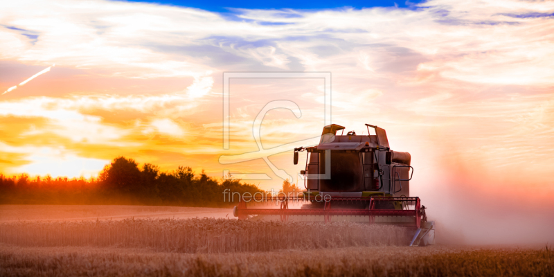 frei wählbarer Bildausschnitt für Ihr Bild auf Schieferplatte