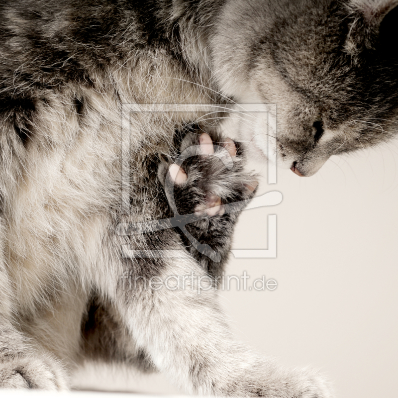 frei wählbarer Bildausschnitt für Ihr Bild auf Schieferplatte