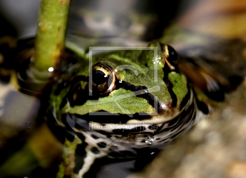 frei w&auml;hlbarer Bildausschnitt f&uuml;r Ihr Bild auf Schieferplatte