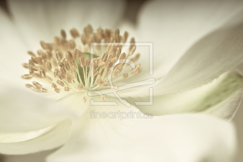 frei w&auml;hlbarer Bildausschnitt f&uuml;r Ihr Bild auf Schieferplatte