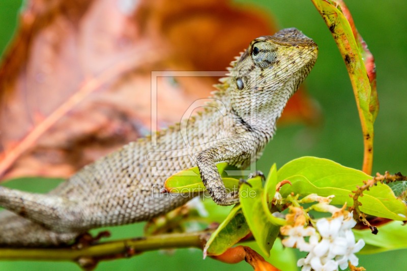 frei w&auml;hlbarer Bildausschnitt f&uuml;r Ihr Bild auf Schieferplatte