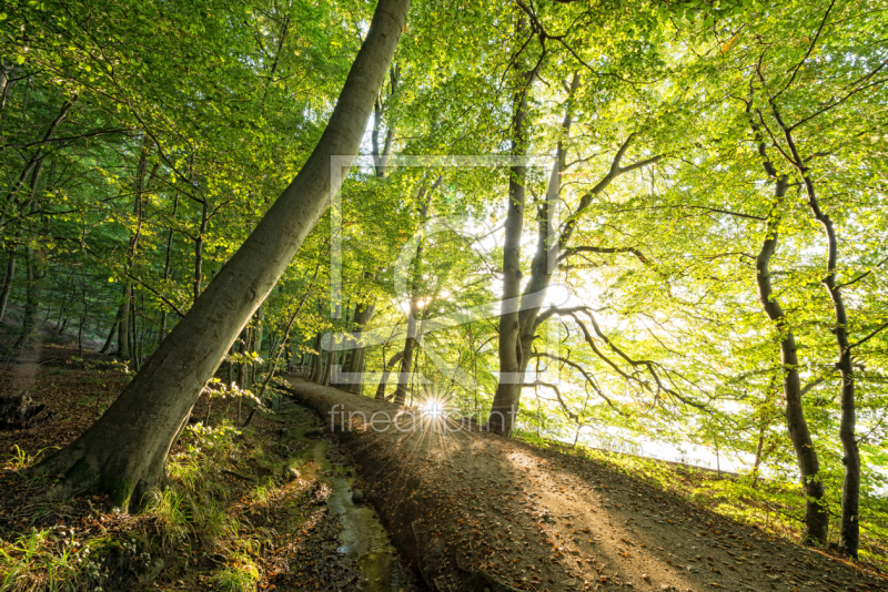 frei wählbarer Bildausschnitt für Ihr Bild auf Schieferplatte