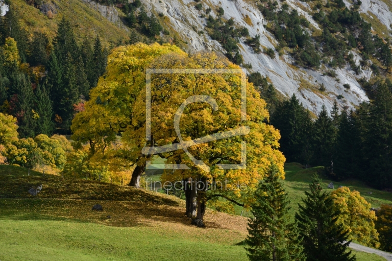frei wählbarer Bildausschnitt für Ihr Bild auf Schieferplatte