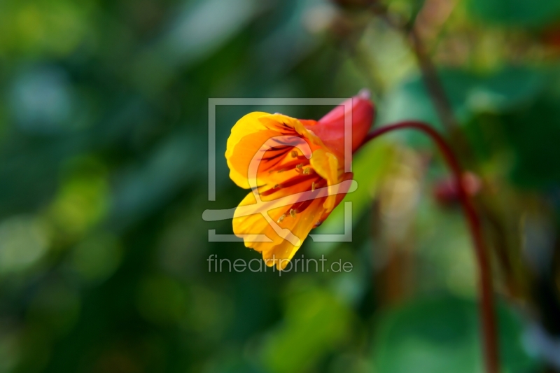 frei w&auml;hlbarer Bildausschnitt f&uuml;r Ihr Bild auf Schieferplatte