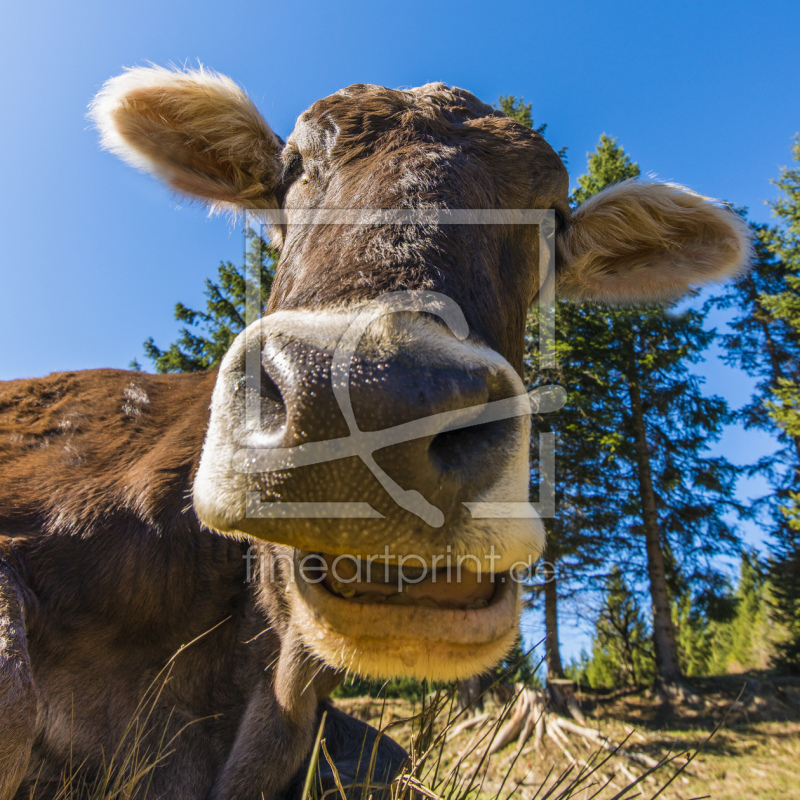 frei wählbarer Bildausschnitt für Ihr Bild auf Schieferplatte
