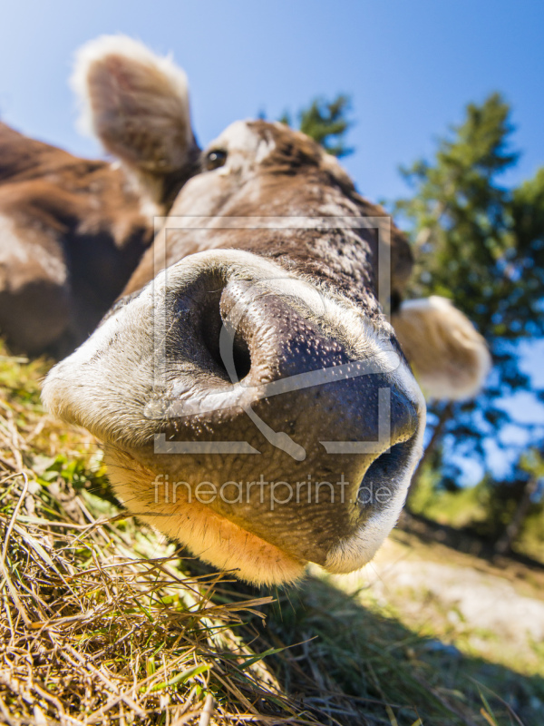 frei wählbarer Bildausschnitt für Ihr Bild auf Schieferplatte