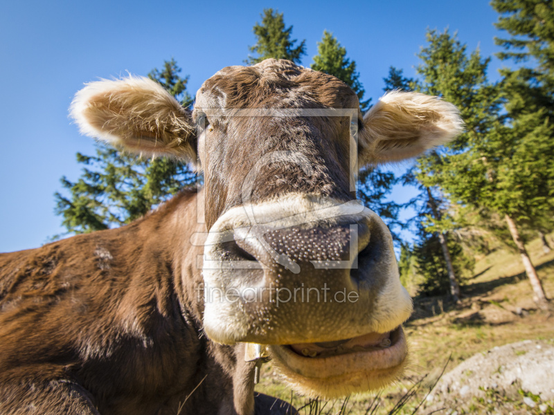 frei wählbarer Bildausschnitt für Ihr Bild auf Schieferplatte