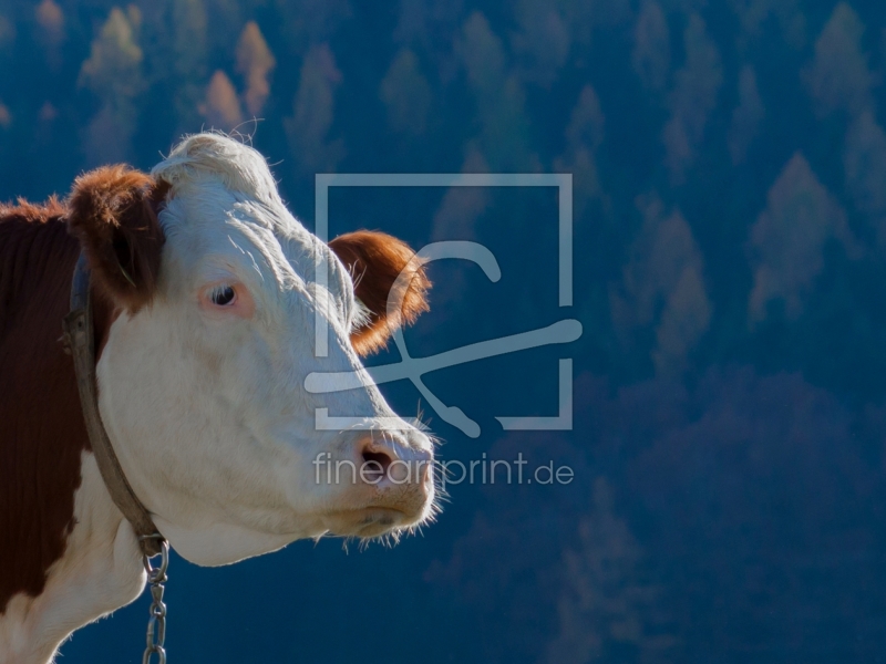 frei wählbarer Bildausschnitt für Ihr Bild auf Schieferplatte