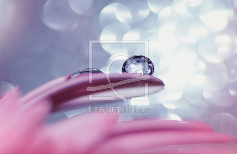 frei w&auml;hlbarer Bildausschnitt f&uuml;r Ihr Bild auf Schieferplatte