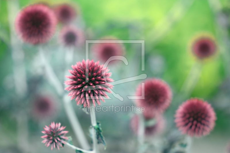 frei w&auml;hlbarer Bildausschnitt f&uuml;r Ihr Bild auf Schieferplatte