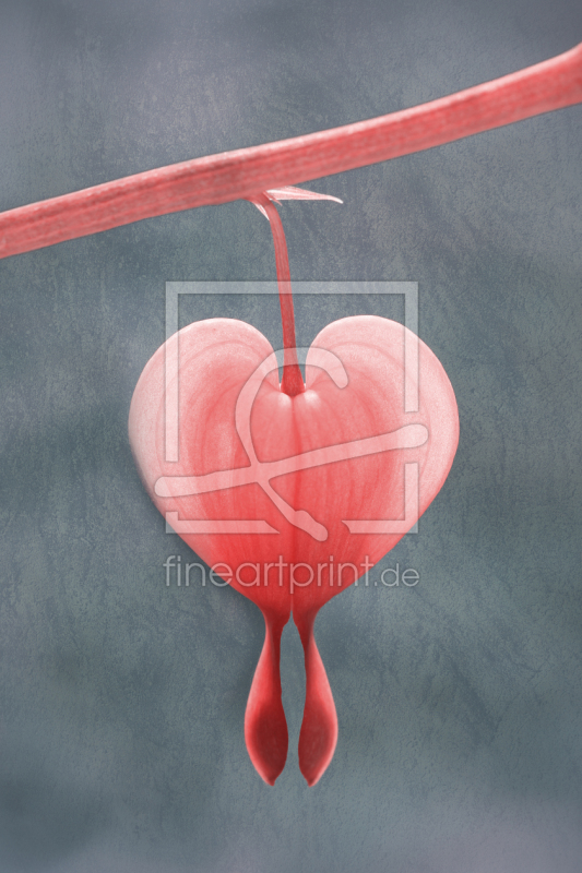 frei wählbarer Bildausschnitt für Ihr Bild auf Schieferplatte