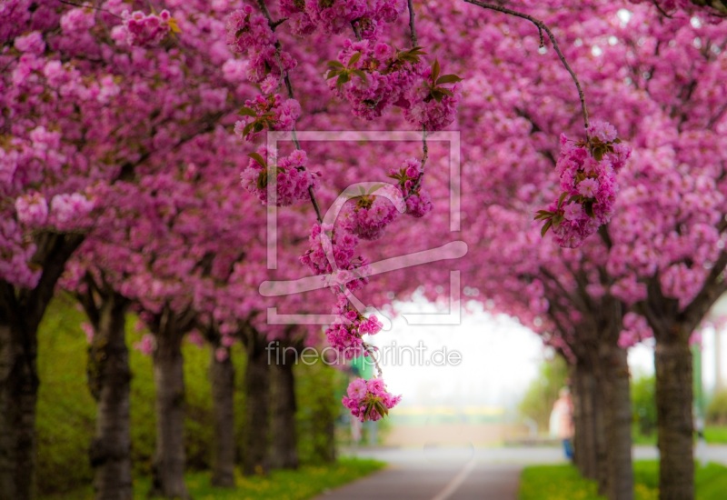 frei wählbarer Bildausschnitt für Ihr Bild auf Schieferplatte