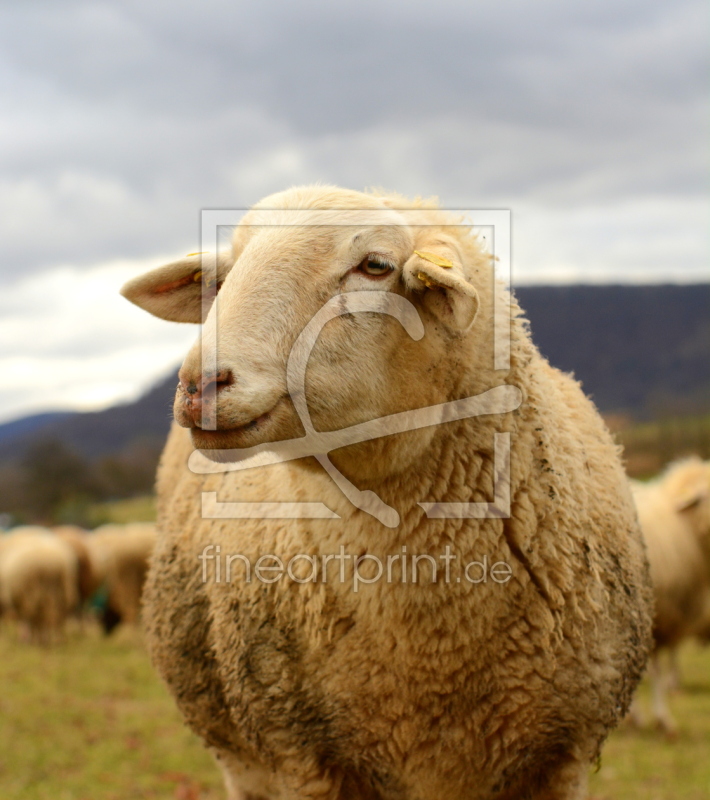 frei wählbarer Bildausschnitt für Ihr Bild auf Schieferplatte