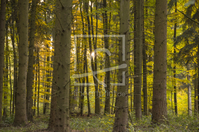 frei wählbarer Bildausschnitt für Ihr Bild auf Schieferplatte