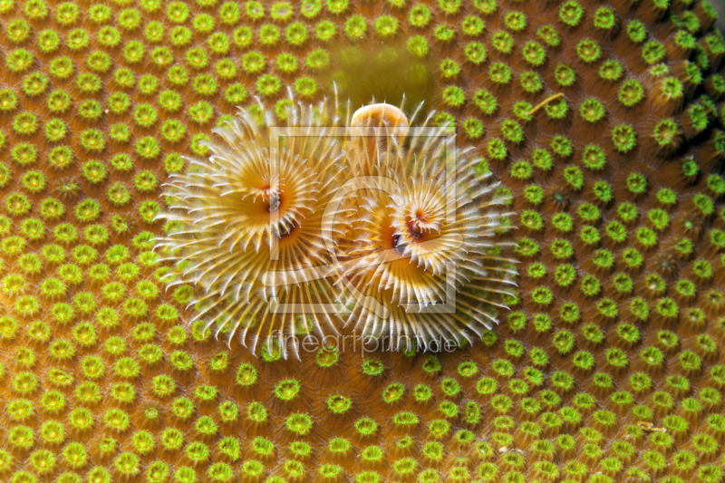 frei w&auml;hlbarer Bildausschnitt f&uuml;r Ihr Bild auf Schieferplatte