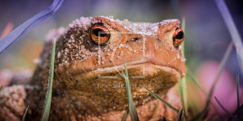 frei w&auml;hlbarer Bildausschnitt f&uuml;r Ihr Bild auf Schieferplatte