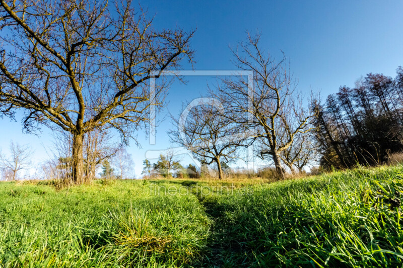 frei wählbarer Bildausschnitt für Ihr Bild auf Schieferplatte