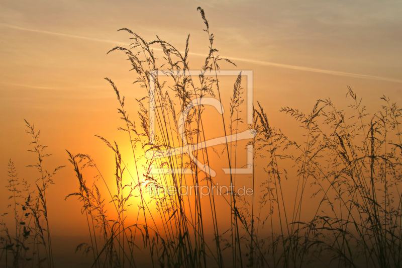 frei wählbarer Bildausschnitt für Ihr Bild auf Schieferplatte