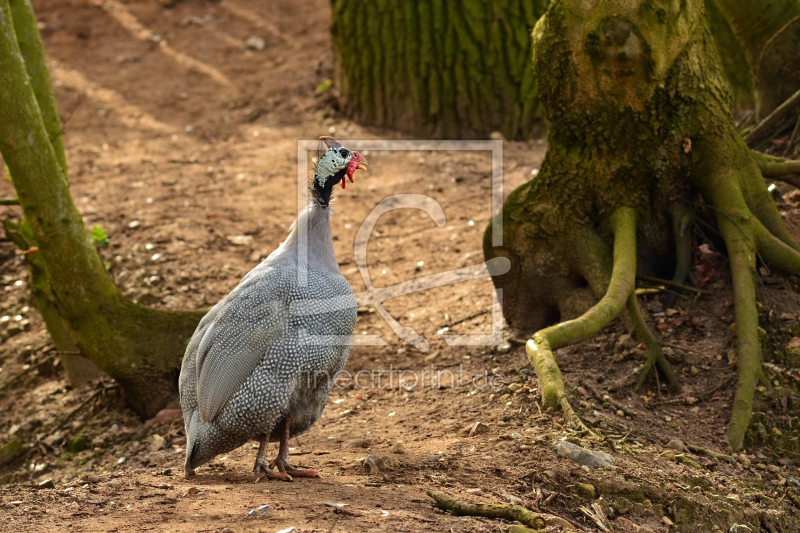 frei wählbarer Bildausschnitt für Ihr Bild auf Schieferplatte