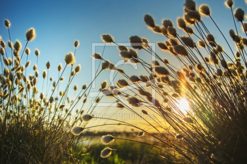 frei wählbarer Bildausschnitt für Ihr Bild auf Schieferplatte