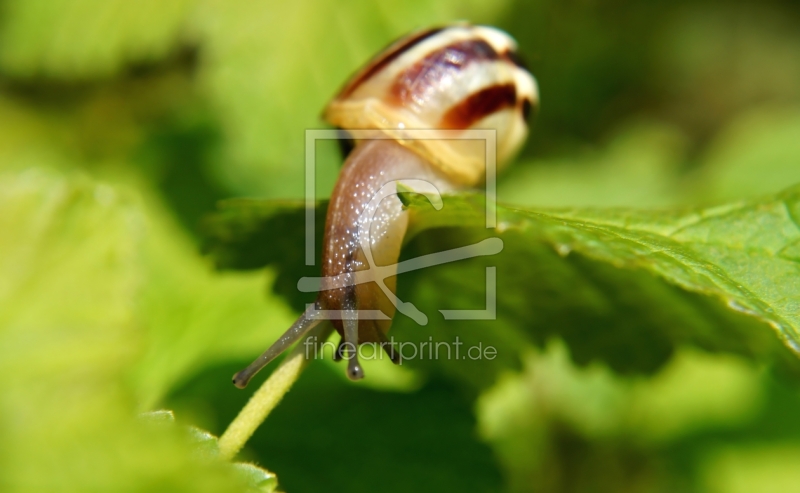 frei wählbarer Bildausschnitt für Ihr Bild auf Schieferplatte