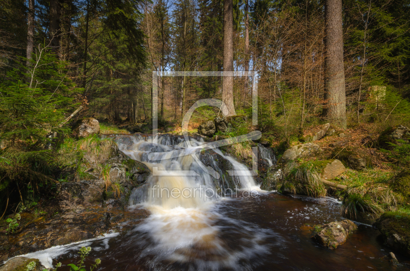 frei wählbarer Bildausschnitt für Ihr Bild auf Schieferplatte