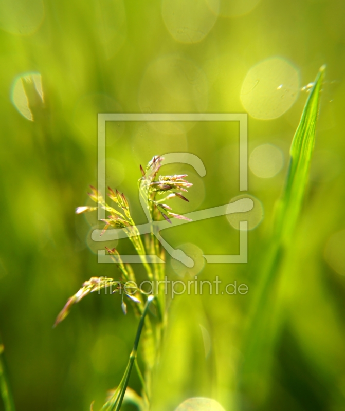 frei w&auml;hlbarer Bildausschnitt f&uuml;r Ihr Bild auf Schieferplatte