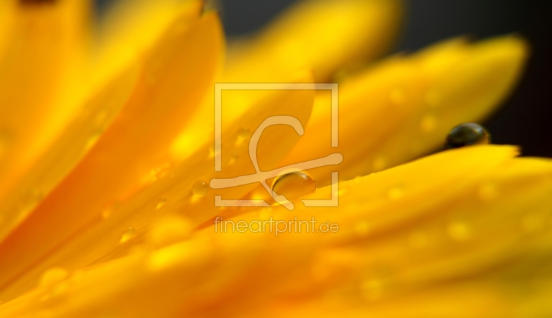 frei wählbarer Bildausschnitt für Ihr Bild auf Schieferplatte