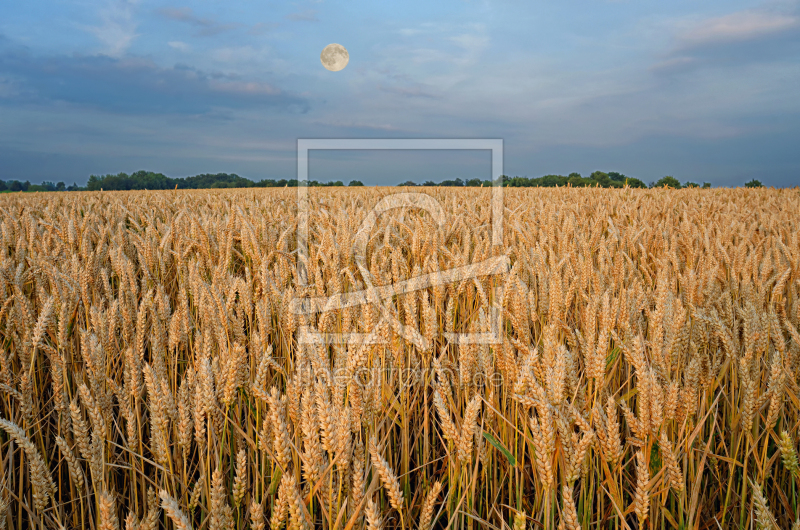 frei wählbarer Bildausschnitt für Ihr Bild auf Schieferplatte