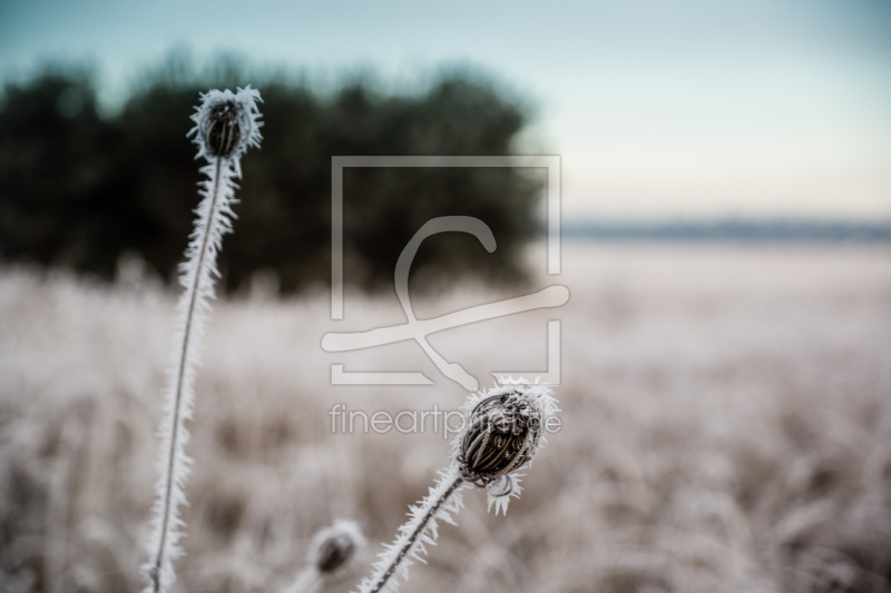 frei w&auml;hlbarer Bildausschnitt f&uuml;r Ihr Bild auf Schieferplatte