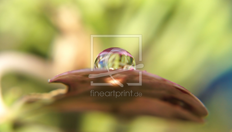 frei wählbarer Bildausschnitt für Ihr Bild auf Schieferplatte