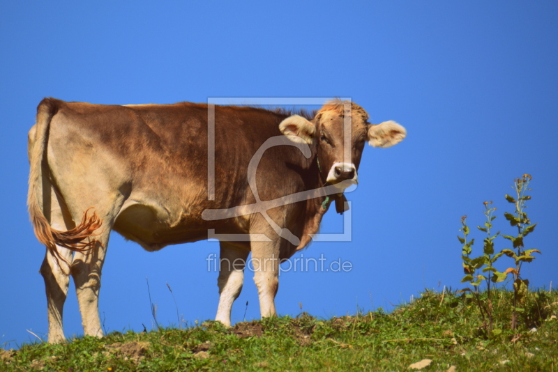 frei wählbarer Bildausschnitt für Ihr Bild auf Schieferplatte