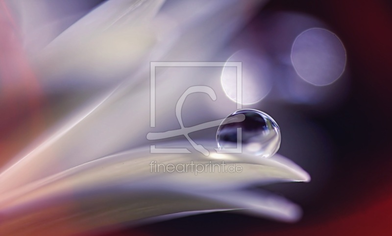 frei w&auml;hlbarer Bildausschnitt f&uuml;r Ihr Bild auf Schieferplatte