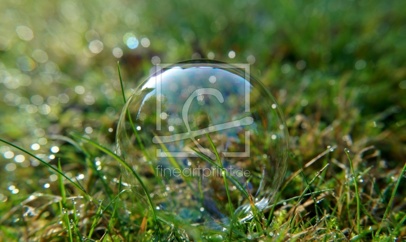 frei wählbarer Bildausschnitt für Ihr Bild auf Schieferplatte