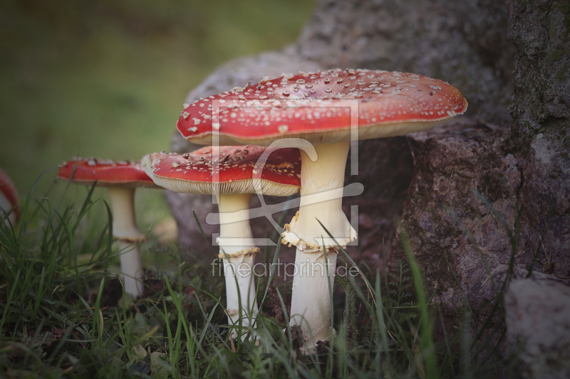 frei w&auml;hlbarer Bildausschnitt f&uuml;r Ihr Bild auf Schieferplatte